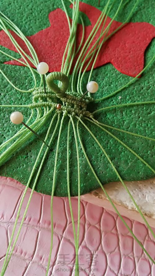 双面叶子 第26步