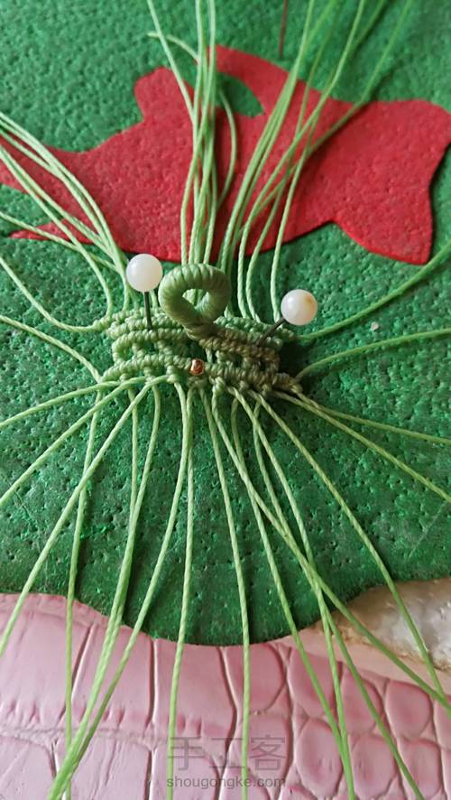 双面叶子 第27步