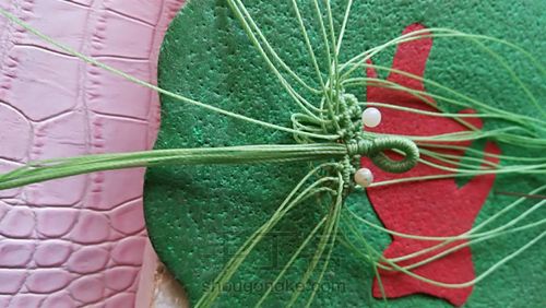 双面叶子 第28步