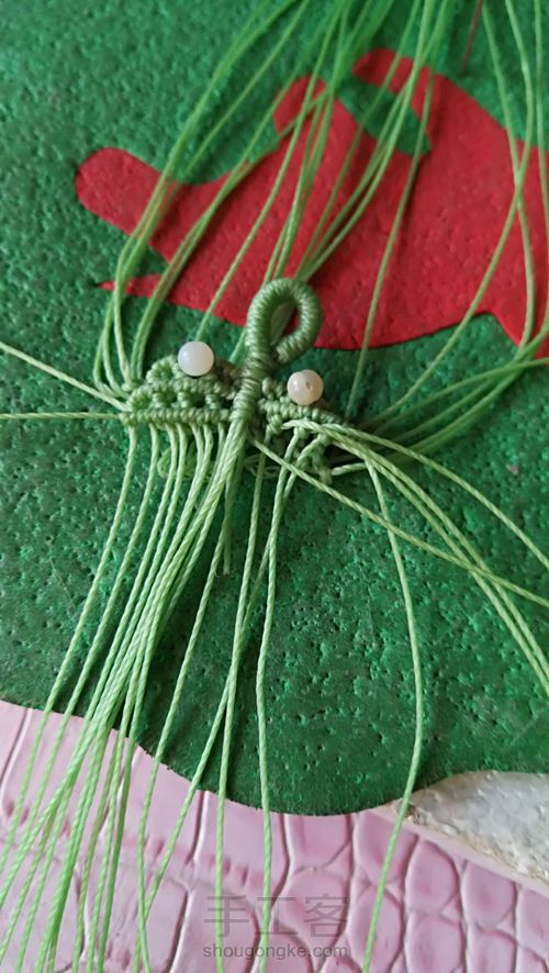 双面叶子 第30步