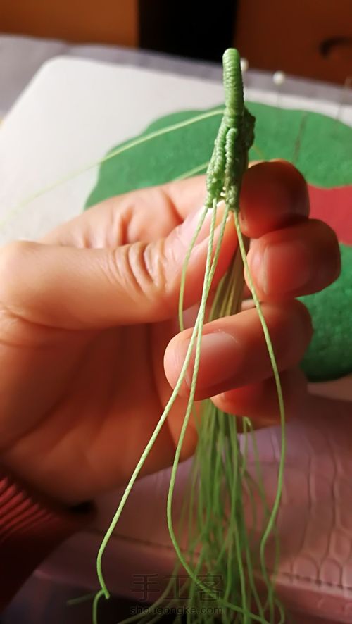 双面叶子 第36步