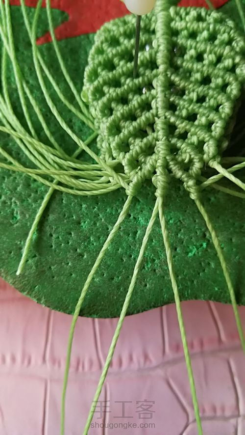 双面叶子 第56步