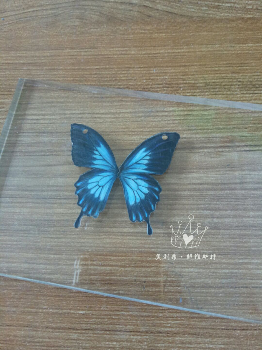 天堂凤蝶，又称琉璃凤蝶、英雄凤蝶。澳大利亚的最美丽的蝴蝶，也是国蝶。