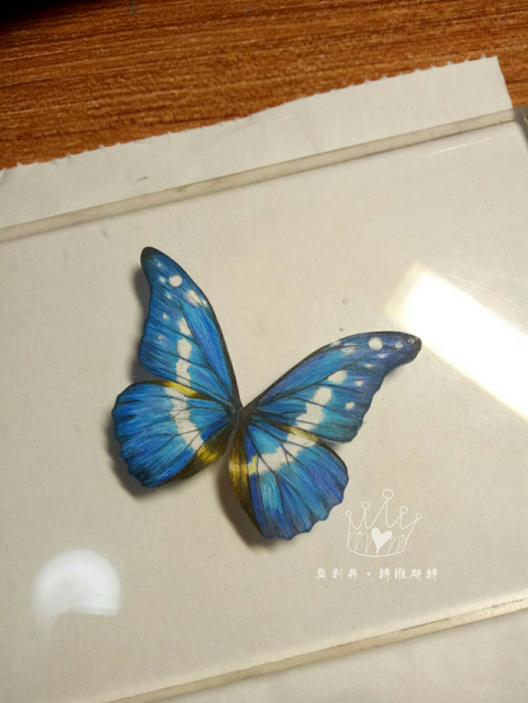 光明女神闪蝶，别名:海伦娜闪蝶 、蓝色多瑙河蝶。