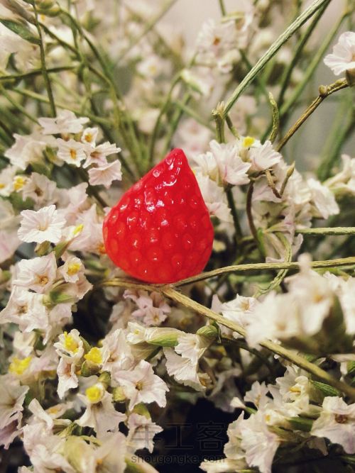 【mini软陶草莓🍓】 第15步