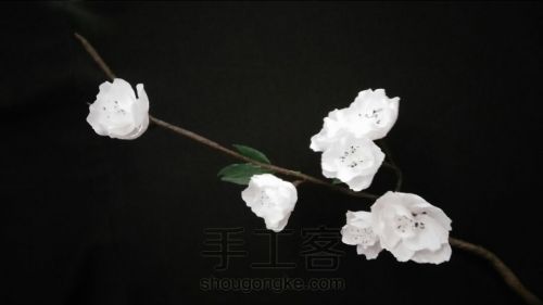 【纸艺花】白梅 第23步