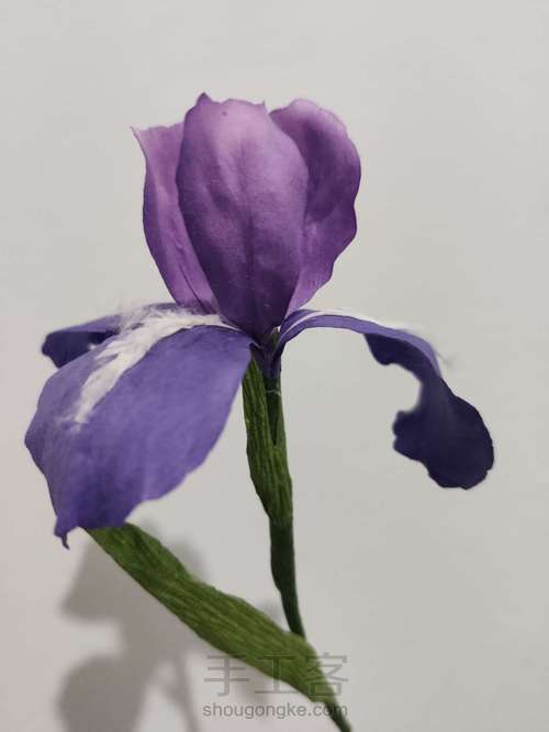纸艺-鸢尾花 第1步