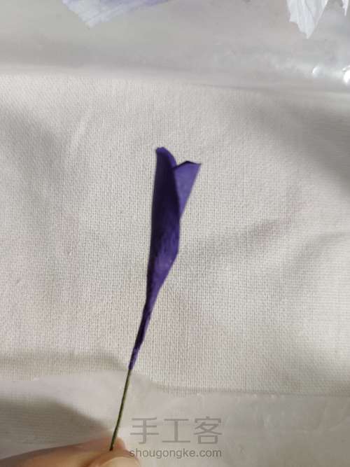 纸艺-鸢尾花 第7步