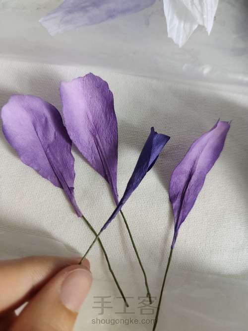 纸艺-鸢尾花 第8步