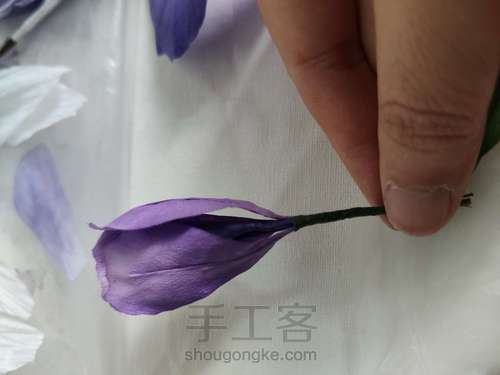 纸艺-鸢尾花 第9步