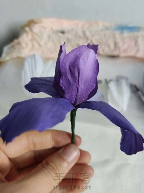 纸艺-鸢尾花 第11步