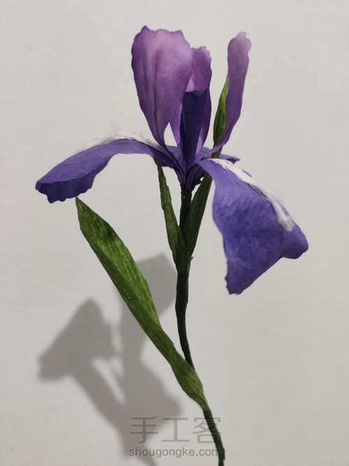 纸艺-鸢尾花 第12步