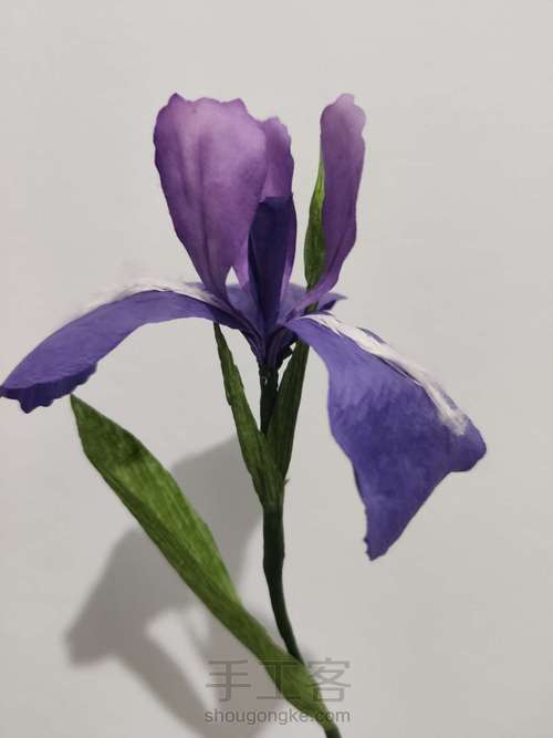 纸艺-鸢尾花 第13步