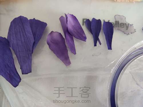 纸艺-鸢尾花 第2步