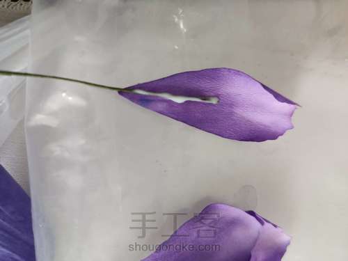 纸艺-鸢尾花 第4步
