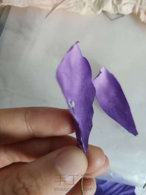 纸艺-鸢尾花 第5步