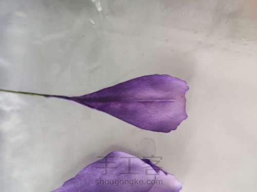 纸艺-鸢尾花 第6步