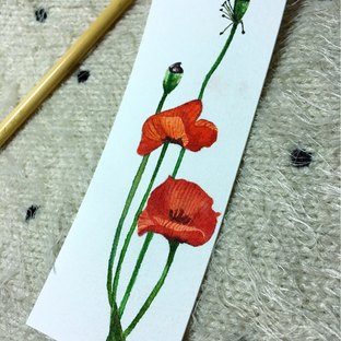 水彩 虞美人 书签系列