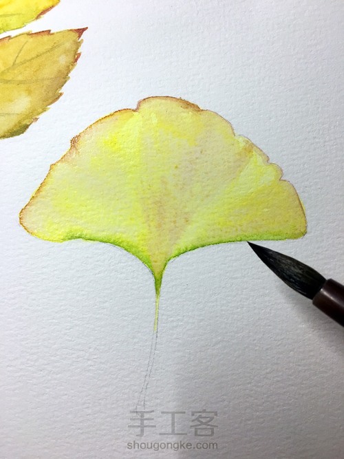 一叶一菩提 水彩 树叶的画法 第7步