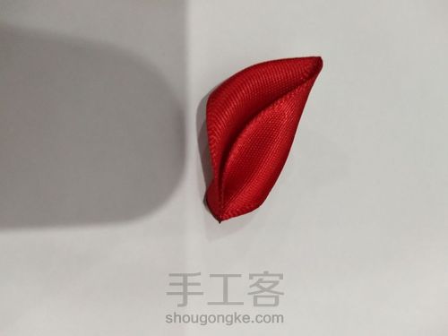 美美哒7瓣花 第4步