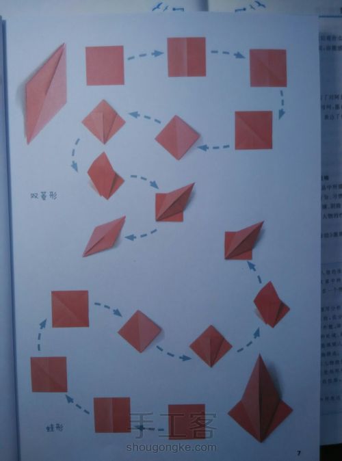 【转载留底】花卉折纸教程(第一章:折纸基础) 第7步