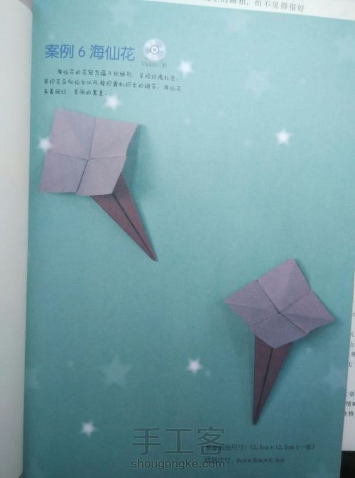 【转载留底】花卉折纸教程(二:春季花卉①) 第10步