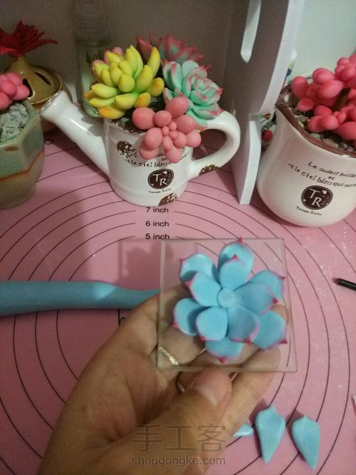 软陶多肉 第8步