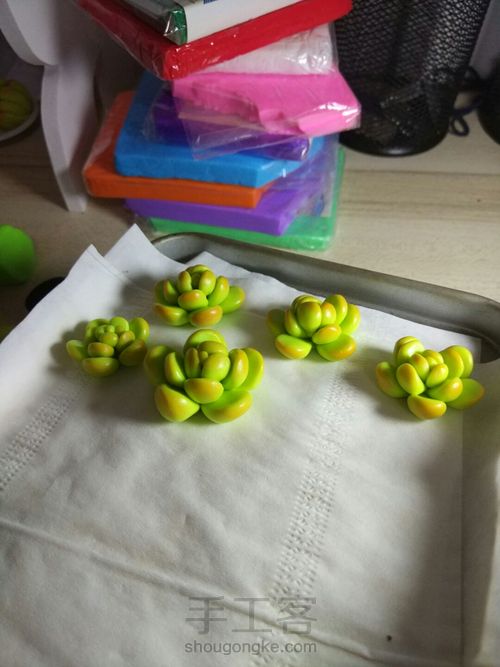 多肉饰品 第12步