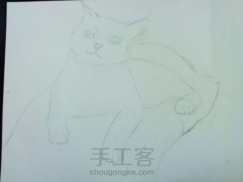 猫咪彩铅手绘 第2步