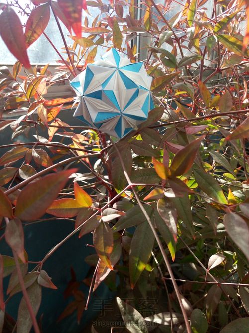 花球，『天空』。 第36步