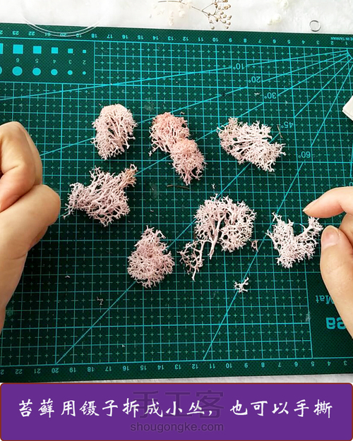 进口永生花姐妹花毛球钥匙扣车挂 第12步