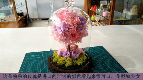 永生花玻璃罩玫瑰花树初恋的粉色系，少女后花园 第20步