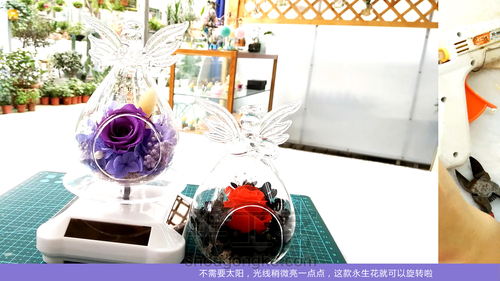 我们一起来造物吧,永生花玻璃罩制作教程详解之旋转的天使 第18步
