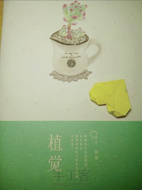 爱心💛❤① 第14步