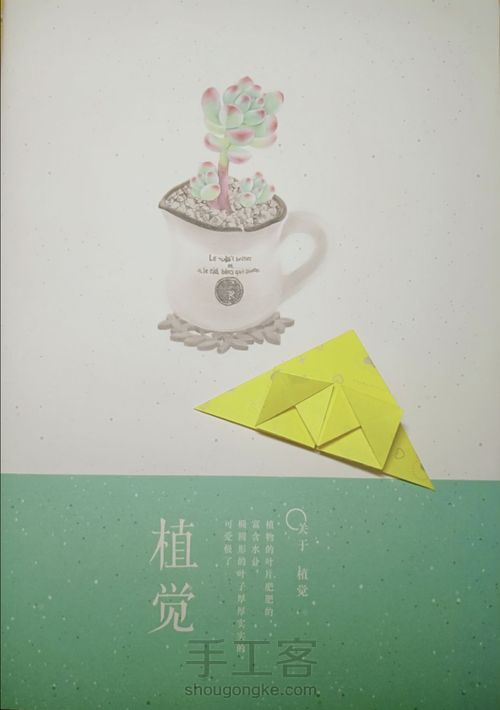 爱心💛❤① 第6步