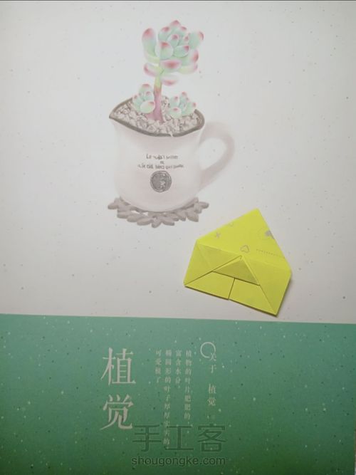 爱心💛❤① 第8步