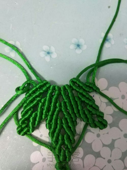 枫叶🍁🍁🍁 第28步