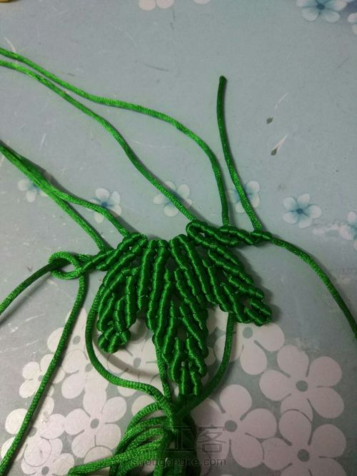 枫叶🍁🍁🍁 第29步