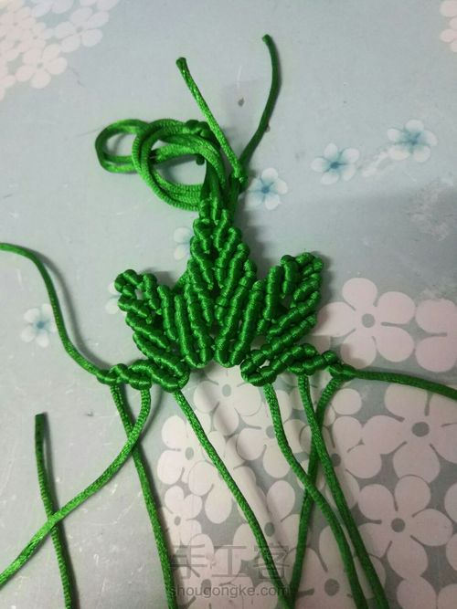 枫叶🍁🍁🍁 第30步