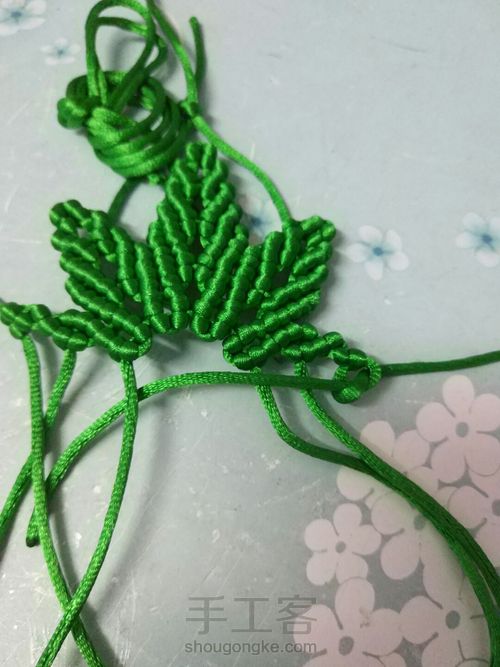 枫叶🍁🍁🍁 第31步