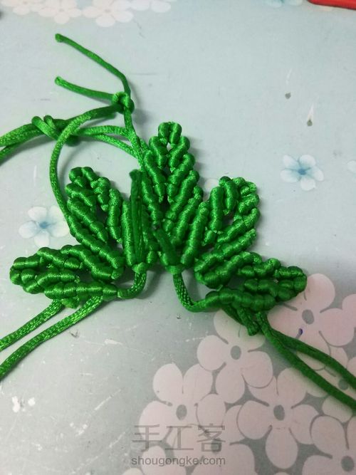 枫叶🍁🍁🍁 第34步