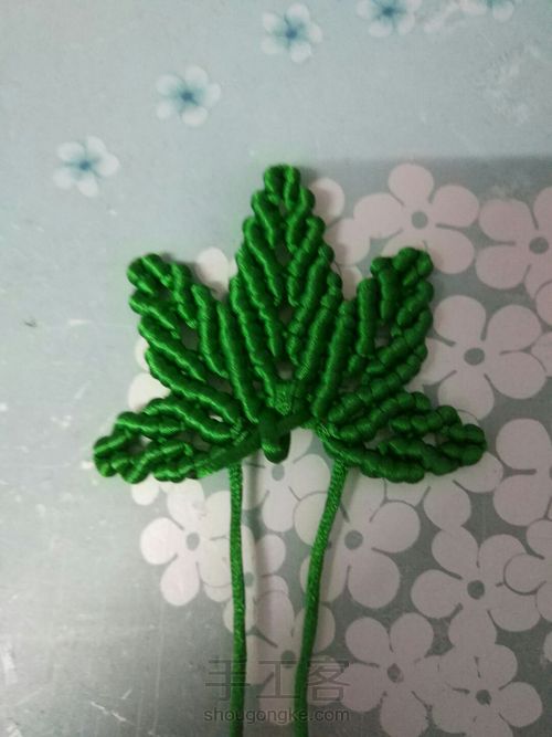 枫叶🍁🍁🍁 第35步