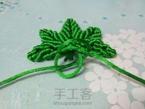 枫叶🍁🍁🍁 第36步