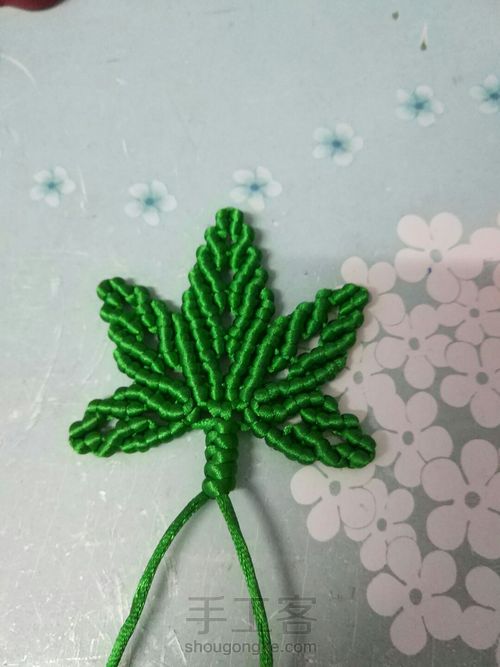 枫叶🍁🍁🍁 第37步