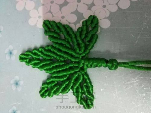 枫叶🍁🍁🍁 第38步