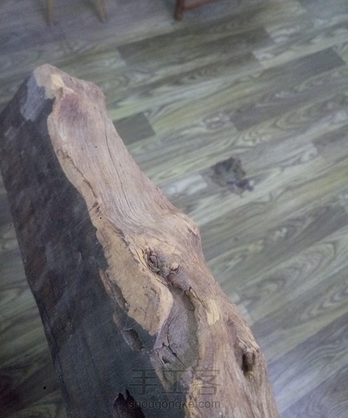 海底景观印章 几立手作原创 第1步