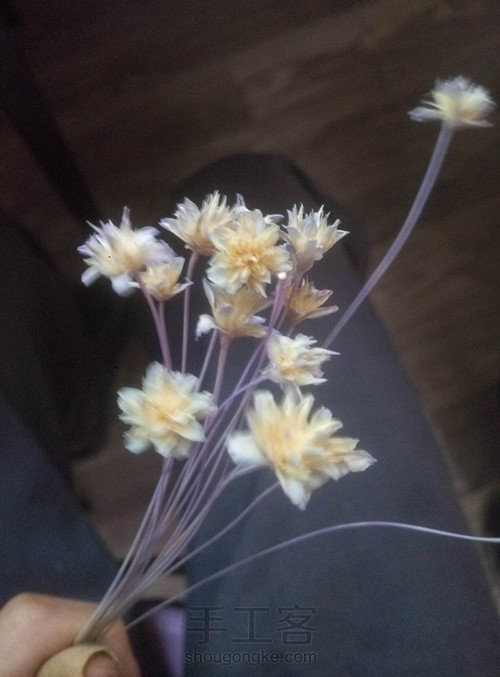 海底景观印章 几立手作原创 第4步