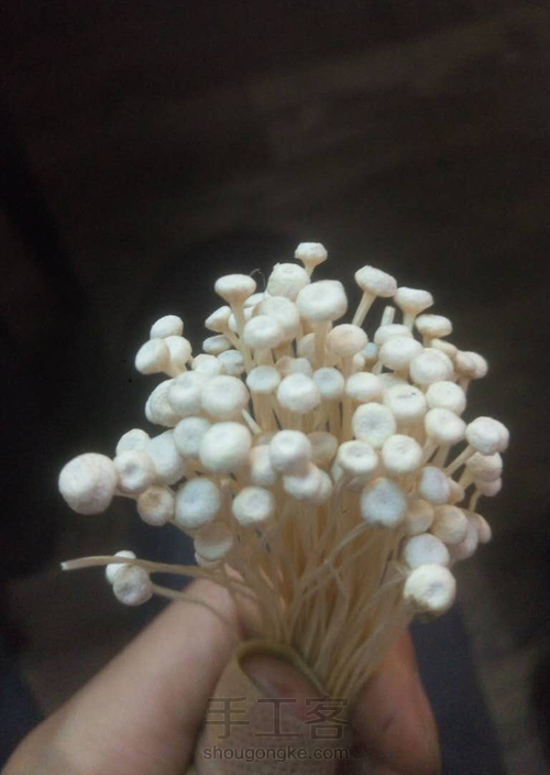 海底景观印章 几立手作原创 第3步