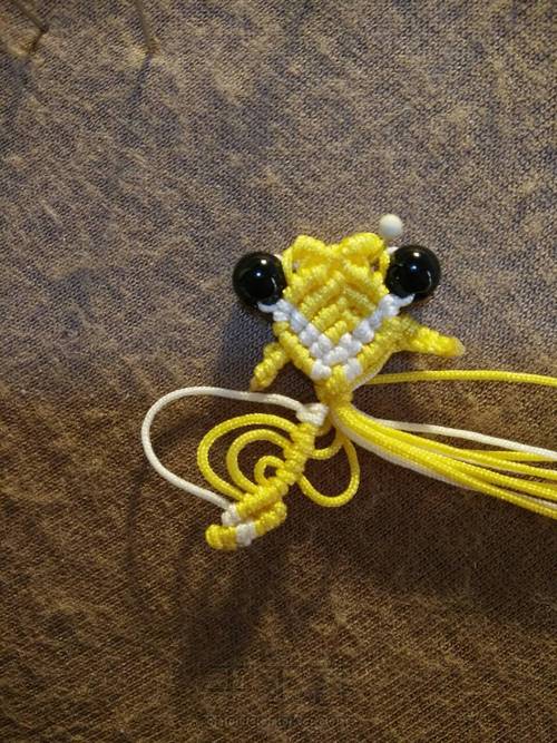 可爱金鱼简单编 第12步