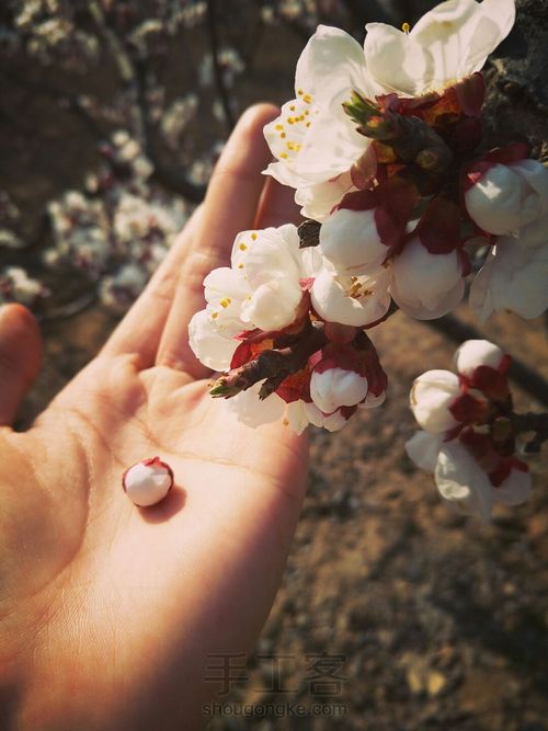 小清新捕梦网 第7步